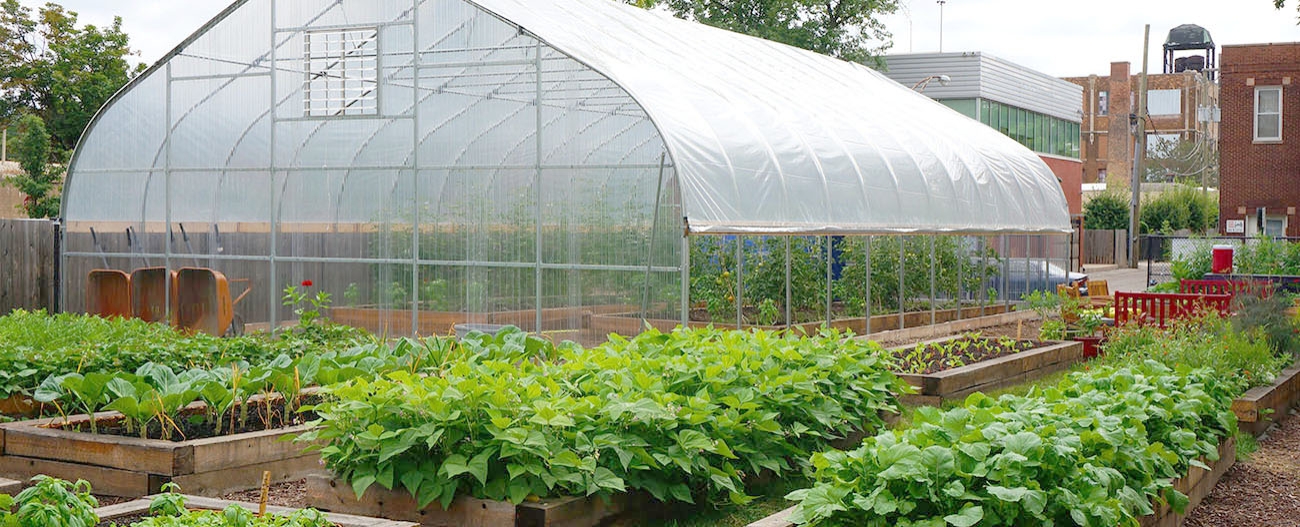 Visit the PCC Austin Farm