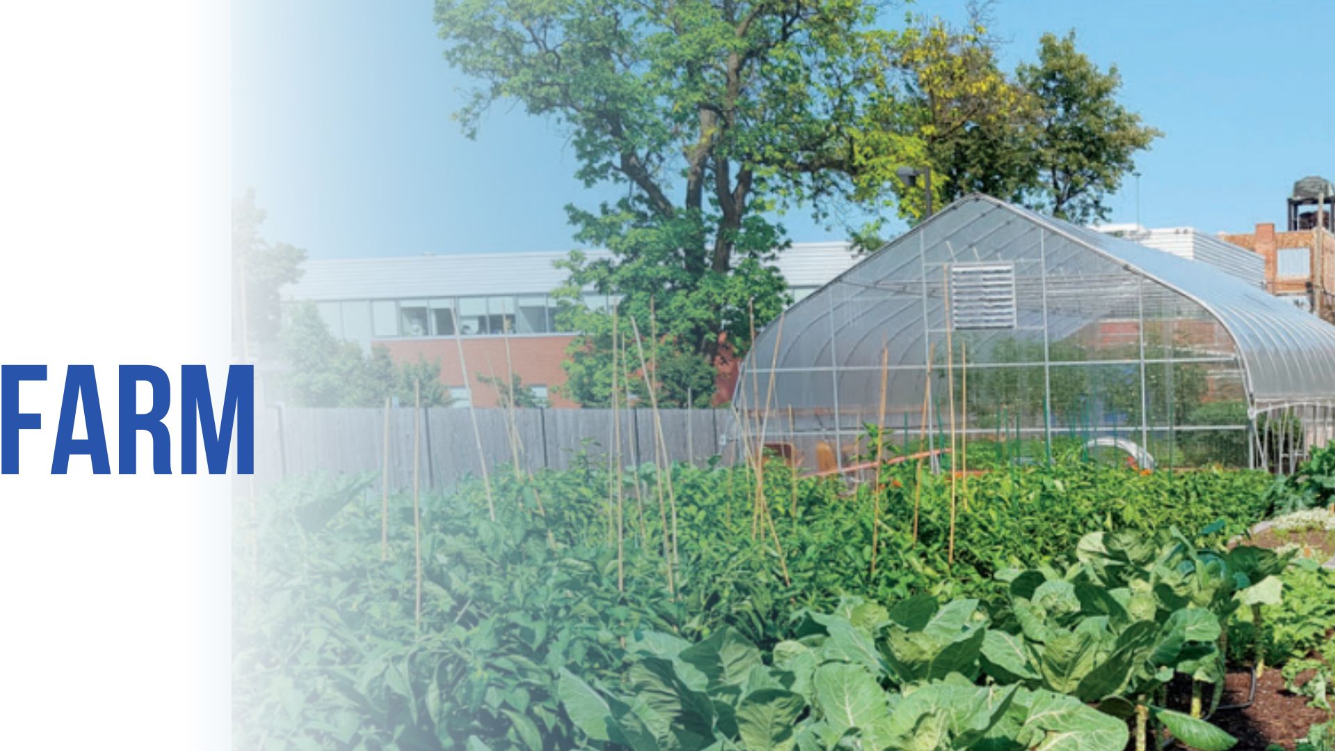 PCC_Austin_Farm_Webpage_29.jpg