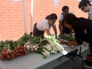 07/30/11 A Saturday trip for turnips