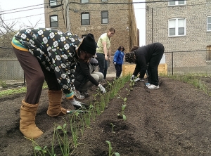 03/13/17 PCC Austin Farm kicks off third season of urban gardening workshops